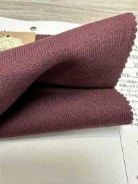 FJ220120 19/10 تركي عضوي BD فرنش تيري[نسيج / قماش] Fujisaki Textile صور إضافية