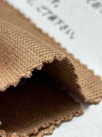FJ230200 جيرسي قطن مكتمل النضج[Textile / Fabric] Fujisaki Textile صور إضافية