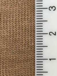 FJ230200 جيرسي قطن مكتمل النضج[Textile / Fabric] Fujisaki Textile صور إضافية