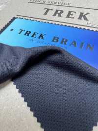 FJ340090 TREK BRAIN شبكة دبوسية[Textile / Fabric] Fujisaki Textile صور إضافية