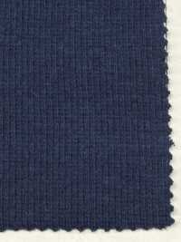 FJ510010 قماش ريب TERECO مغزول 40/-[Textile / Fabric] Fujisaki Textile صور إضافية