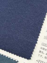 FJ510019 قماش ريب TERECO سباندكس 40/- مبيض بالقطعة[Textile / Fabric] Fujisaki Textile صور إضافية