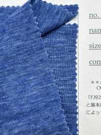 FJ920030 ماربل فينتيج عضوي ريب دائري[نسيج / قماش] Fujisaki Textile صور إضافية