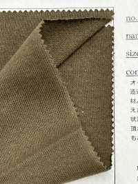 FJ930000 13.5/ جيرسي قطني عضوي من القطن الأمريكي[نسيج / قماش] Fujisaki Textile صور إضافية