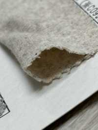 FJ940019 26/- F.EARTH ريب دائري P. لصباغة الملابس، مبيض مسبقًا[نسيج / قماش] Fujisaki Textile صور إضافية