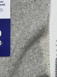 FJ940029 26/- F.EARTH تيري فرنسي P. مناسب لصباغة الملابس Prepared For Dyeing (PFD)[Textile / Fabric] Fujisaki Textile صور إضافية