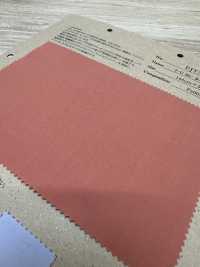 FJT3500 T/C 80/ طراز Road[نسيج / قماش] Fujisaki Textile صور إضافية