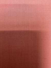 FJT3500 T/C 80/ طراز Road[نسيج / قماش] Fujisaki Textile صور إضافية