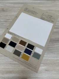 PJT6000 TENNSEU 30/1 غاباردين[نسيج / قماش] Fujisaki Textile صور إضافية