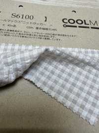S6100 Coolmax® سيتسكر محبوك[نسيج / قماش] Fujisaki Textile صور إضافية