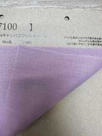 S7100 كانفاس كتان فرنسي 40s بتشطيب مغسول[Textile / Fabric] Fujisaki Textile صور إضافية