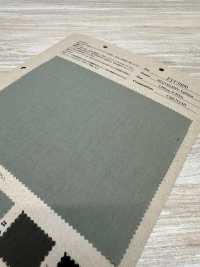 FJT3800 تافتا NY معاد تدويره[Textile / Fabric] Fujisaki Textile صور إضافية