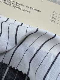 AN-9283 بوبلين قطني وكتاني[Textile / Fabric] Arinobe Shoten صور إضافية