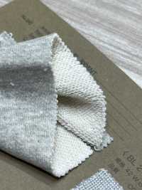 BL3008NT 30/8 لووب ويل فرنش تيري[نسيج / قماش] BELL TEX صور إضافية