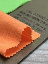 BL37500 MVS28/- NEON ريب دائري[نسيج / قماش] BELL TEX صور إضافية