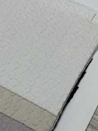 BS43025 جاكار كيبل بليستر[Textile / Fabric] B Space صور إضافية