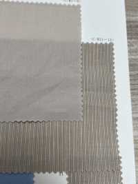 14409 قطن 60s Ardente تايب رايتر[Textile / Fabric] SUNWELL صور إضافية