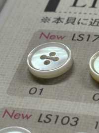 LS17 زر من راتنج البوليستر بحافة، 4 فتحات[Buttons] DAIYA BUTTON صور إضافية