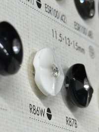 R86W زر من راتنج البوليستر[أزرار] DAIYA BUTTON صور إضافية