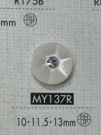 MY137R زر من راتنج البوليستر[أزرار] DAIYA BUTTON صور إضافية