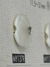 MY137R زر من راتنج البوليستر[أزرار] DAIYA BUTTON صور إضافية