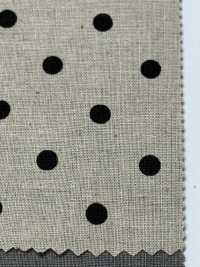 DOT-7100-2 شيتنج قطن وكتان بنقشة نقاط[Textile / Fabric] HOKKOH صور إضافية