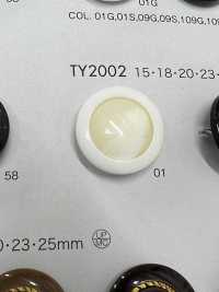 TY2002 زر من راتنج البوليستر[أزرار] DAIYA BUTTON صور إضافية