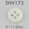 SHV173 زر صدف بأربعة ثقوب بحافة