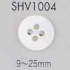 SHV1004 زر صدف بأربعة ثقوب