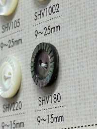 SHV180 زر صدفي بفتحتين[Buttons] DAIYA BUTTON صور إضافية