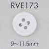RVE173 زر صدفي بأربع فتحات بحافة