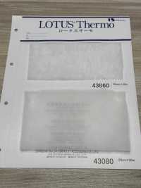43080 لوتس ثيرمو (43080)[Interfacing] IWASAKI صور إضافية