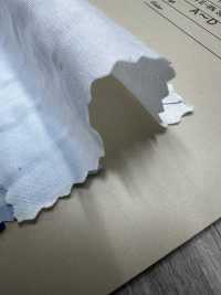 A-1689 سيرساكر قطن/إستر/سباندكس[Textile / Fabric] Arinobe Shoten صور إضافية
