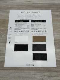 GINGA-062 Capritas® (#8800)[نسيج / قماش] GINGA صور إضافية