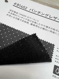 81402 جلد مثقب[Textile / Fabric] PLANETA (Planeta) صور إضافية