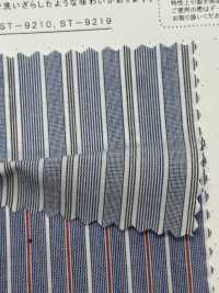 ST-9176 قماش تايب رايتر 60/1 مخطط [تشطيب الغسيل][نسيج / قماش] Kuwamura Textile صور إضافية