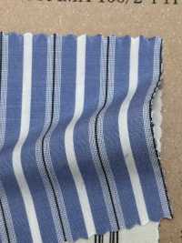 TRD2017 قماش تايب رايتر قطن Supima 100/2[نسيج / قماش] Kuwamura Textile صور إضافية