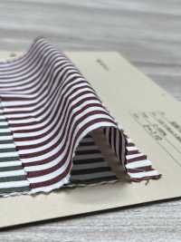 506-9 بوبلين قطني[Textile / Fabric] Arinobe Shoten صور إضافية