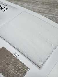 T7381 باور نت[Textile / Fabric] NEXT STAGE (SAWAMURA) صور إضافية