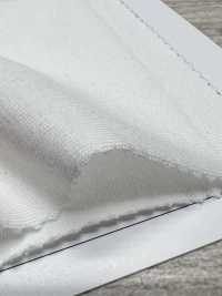 4022SS جيرسي مطاطي[Textile / Fabric] NEXT STAGE (SAWAMURA) صور إضافية