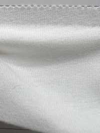 4022SS جيرسي مطاطي[Textile / Fabric] NEXT STAGE (SAWAMURA) صور إضافية