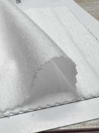 LY1602 ألياف TENCEL™ Lyocell جيرسي مفرد[نسيج / قماش] NEXT STAGE (SAWAMURA) صور إضافية