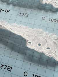 3302-1F دانتيل كشكش قطني Kyowa Lace صور إضافية