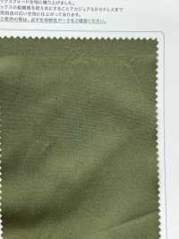 SPM-2066 Supima 80/2 أوكسفورد[نسيج / قماش] TIPICO (Kuwamura Textile) صور إضافية