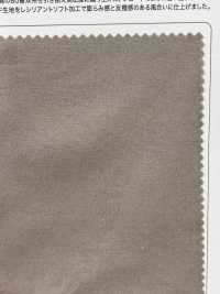 SPM-2068-RS Supima 80/2//أكسفورد مرن وناعم[نسيج / قماش] TIPICO (Kuwamura Textile) صور إضافية