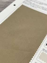 TP-8014 قماش تايبرايتر قطني/كتاني بتشطيب صلب مرن[نسيج / قماش] TIPICO (Kuwamura Textile) صور إضافية