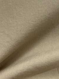 TP-8014 قماش تايبرايتر قطني/كتاني بتشطيب صلب مرن[نسيج / قماش] TIPICO (Kuwamura Textile) صور إضافية