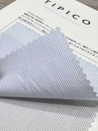 OGN-1611ST قماش تايبرايتر عضوي فاخر مخطط[Textile / Fabric] TIPICO (Kuwamura Textile) صور إضافية