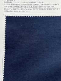 OGN-2048 بوبلين سلوب عضوي مغسول[نسيج / قماش] TIPICO (Kuwamura Textile) صور إضافية
