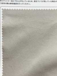 OGN-2175 تشينو عضوي مغسول 20/1[Textile / Fabric] TIPICO (Kuwamura Textile) صور إضافية